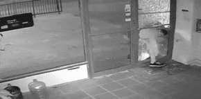 ladro-pirla.gif