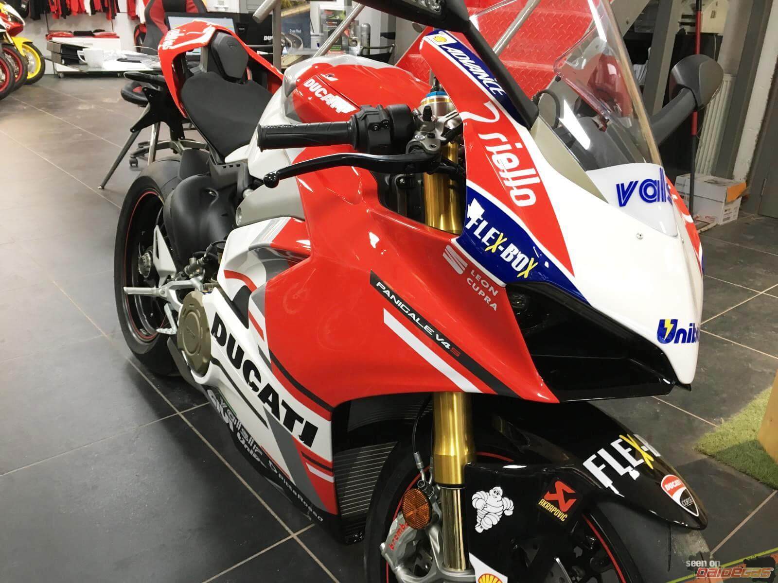 ducati panigale v4 motogp
