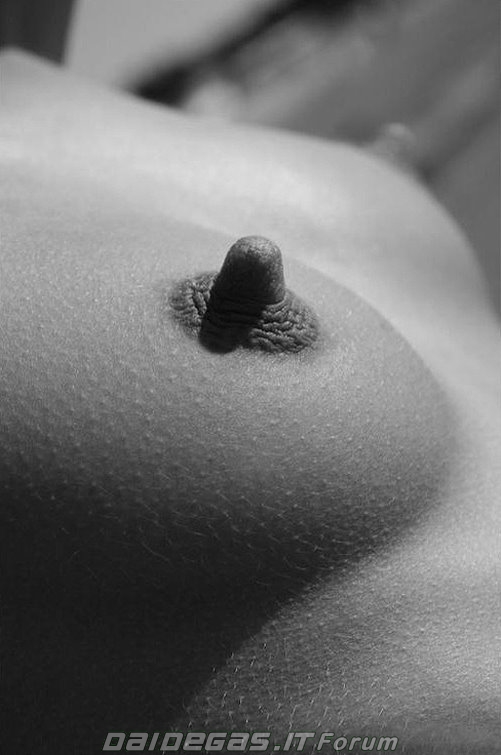 Eraser nipple - 🧡 3 best u/elasticunt images on Pholder Eraser Nipples, Hu...