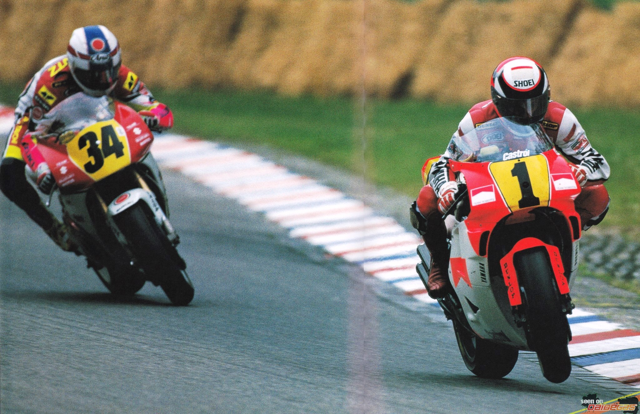 Wayne Rainey